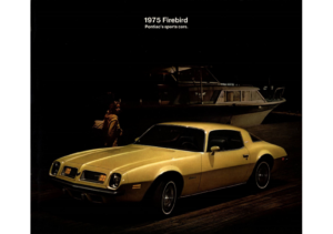 1975 Pontiac Firebird Folder