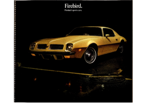 1974 Pontiac Firebird Foldout