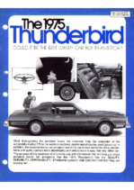 1975 Ford Thunderbird Car Fact Organizer