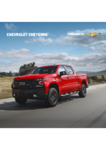2020 Chevrolet Cheyenne MX