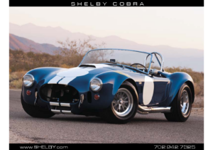 2020 Ford Shelby Cobra