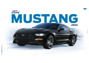 2022 Ford Mustang MX