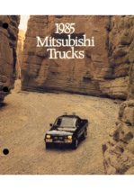 1985 Mitsubishi Truck