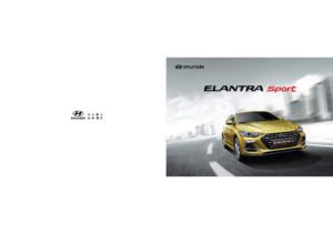 2019 MY Hyundai Elantra Sport V1 TW
