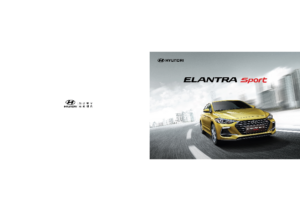 2019 MY Hyundai Elantra Sport V2 TW