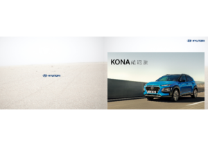 2020 MY Hyundai Kona V2 TW