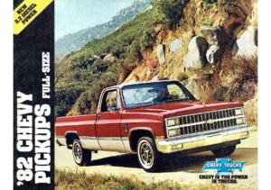 1982 Chevrolet Pickups -R