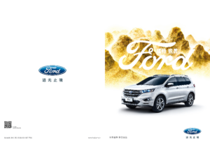 2018 Ford Edge V1 CHN