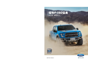 2019 Ford F-150 Raptor CHN