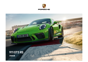 2019 Porsche 911 GT3 RS TWN