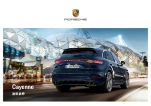 2019 Porsche Cayenne TWN