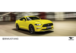 2021 Ford Mustang V1 CHN