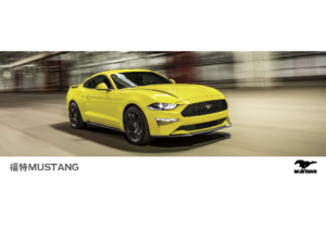 2021 Ford Mustang V2 CHN