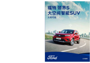 2021 Ford Territory S CHN