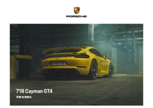 2021 Porsche 718 Cayman GT4 TWN