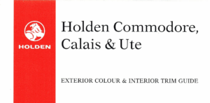 1999 Holden VT Colour & Trim (Aus)