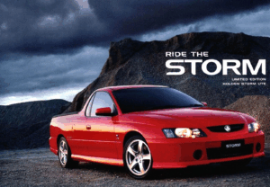 2004 Holden VY Commodore Storm Ute (Aus)