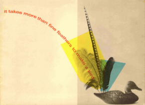 1962 Ford Thunderbird Pictorial