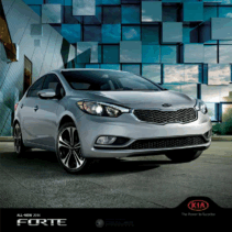 2014 Kia Forte CN