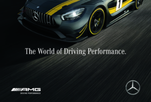 2015 Mercedes Benz AMG Range